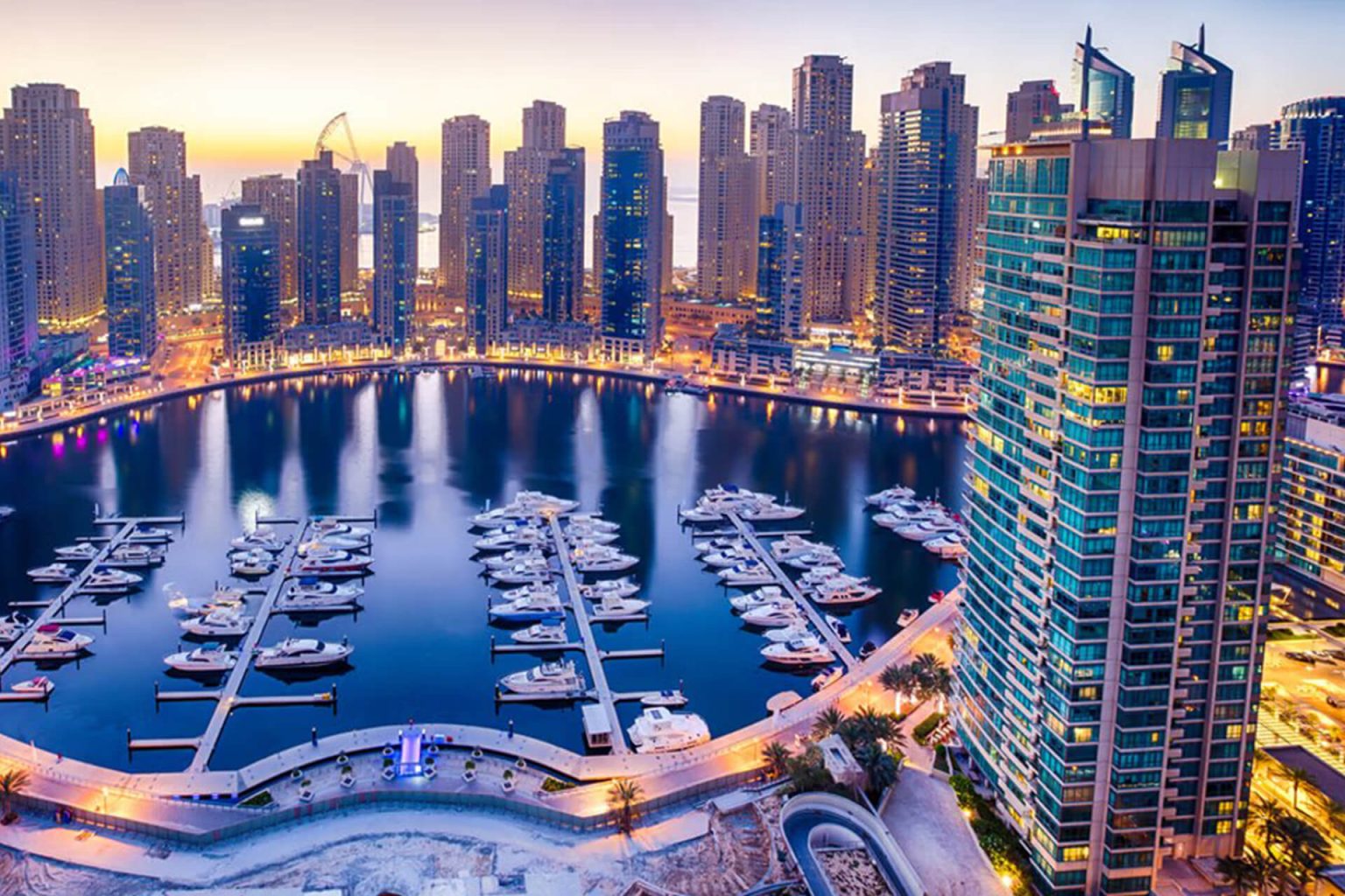 Dubai Nature